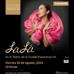 Afiche concierto